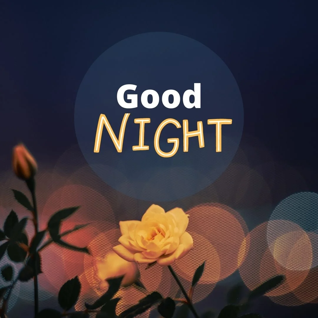 100+ Good night Quote Images frew to download 24